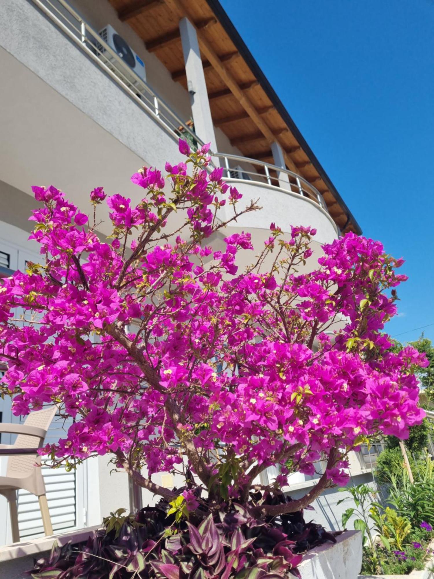 Vila Soleil Vlorë Exterior foto